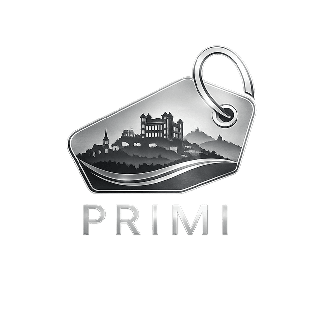 Logo Primimport.store